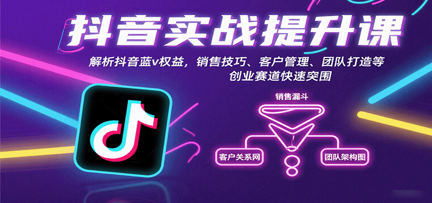 抖音实战提升课：解析抖音蓝v权益，销售技巧、客户管理、团队打造等创业赛道快速突围 - 搞薯条网-搞薯条网