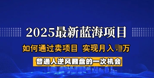 2025蓝海项目，普通人如何通过卖项目，实现月入过W，全过程【揭秘】 - 搞薯条网-搞薯条网