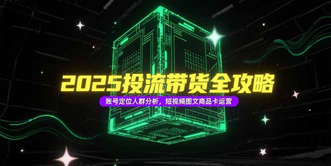 2025投流带货全攻略，账号定位人群分析，短视频图文商品卡运营 - 搞薯条网-搞薯条网