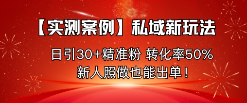 【实测案例】私域新玩法，日引30+精准粉，转化率50%，新人照做也能出单！ - 搞薯条网-搞薯条网