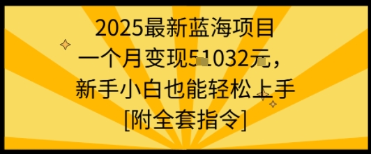 2025最新蓝海项目一个月变现1w+新手小白也能轻松上手【附全套指令】 - 搞薯条网-搞薯条网
