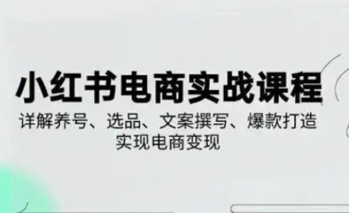 小红书从0-1实操课(2023-2025)，详解养号、选品、文案撰写、爆款打造实现电商变现 - 搞薯条网-搞薯条网
