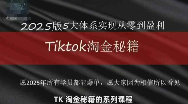 TikTok跨境2025淘金秘籍，​2025TikTok从0到盈利变现 - 搞薯条网-搞薯条网