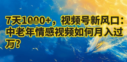 7天收益1k+，视频号新风口：中老年情感视频如何月入过W? - 搞薯条网-搞薯条网
