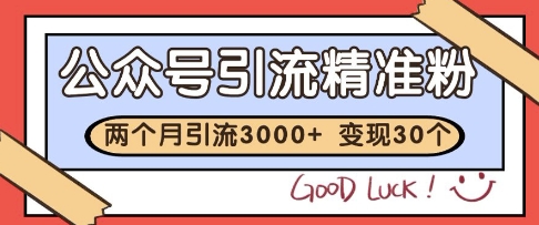 公众号精准粉引流玩法，2个月3000+精准粉，变现30个W【揭秘】 - 搞薯条网-搞薯条网