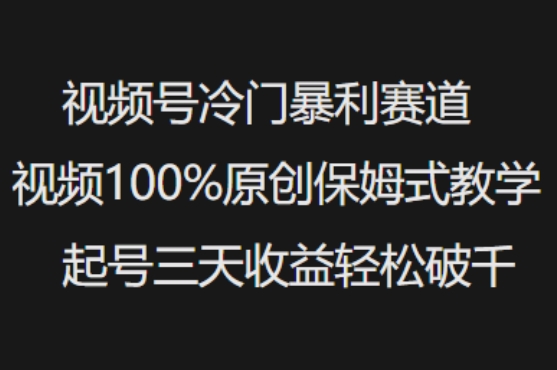 视频号冷门暴利赛道视频100%原创保姆式教学起号三天收益轻松破千 - 搞薯条网-搞薯条网