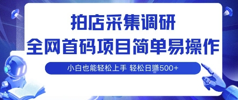 拍店采集调研，全网首码项目，简单易操作， 小白也能轻松上手，多账号操作，轻松日入5张【揭秘】 - 搞薯条网-搞薯条网