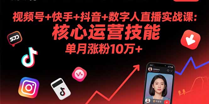 视频号+快手+抖音+数字人直播实战课(9月-搞薯条网