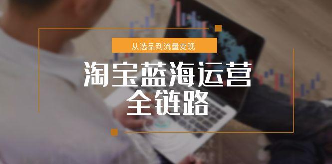 淘宝蓝海运营全链路，从选品到流量变现，小类目突围完整方案 - 搞薯条网-搞薯条网