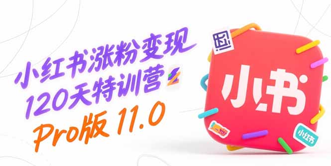 小红书涨粉变现120天特训营Pro版11.0：从0到1掌握平台运营,内容制作和变现 - 搞薯条网-搞薯条网