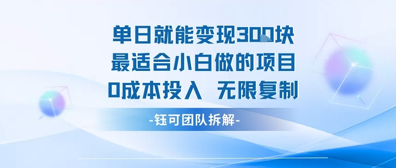 单日就能变现3张最适合小白做的项目0成本投入 无限复制 - 搞薯条网-搞薯条网