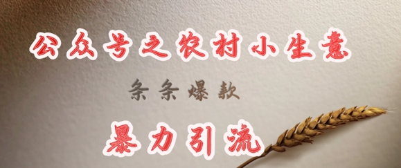deepseek写农村小项目，条条爆款，暴力引流 - 搞薯条网-搞薯条网