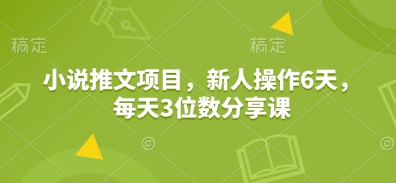小说推文项目，新人操作6天，每天3位数分享课 - 搞薯条网-搞薯条网