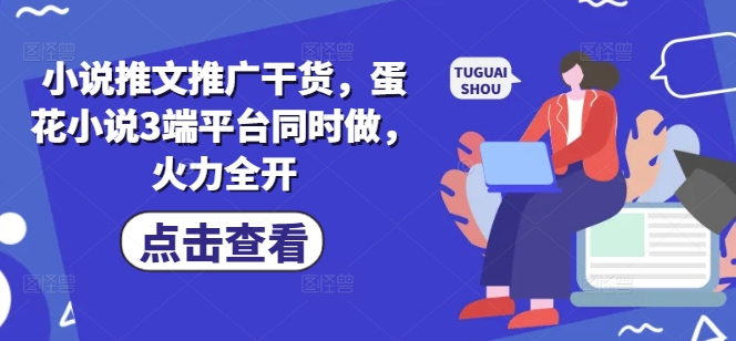 小说推文推广干货，蛋花小说3端平台同时做，火力全开 - 搞薯条网-搞薯条网
