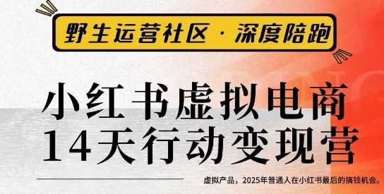 小红书虚拟电商14天变现训练营3.0，​虚拟产品，2025年普通人在小红书最后的搞钱机会 - 搞薯条网-搞薯条网