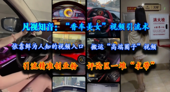 凡视知音：“香车美女”视频引流术，依靠鲜为人知的视频入口，搬运“高端圈子”视频，引流精准创业粉，评论区一堆“求带” - 搞薯条网-搞薯条网