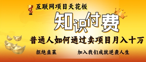 互联网项目天花板，知付付费项目，普通人如何通过卖项目月入十个，拒绝韭菜【揭秘】 - 搞薯条网-搞薯条网