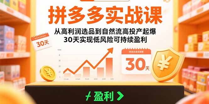 拼多多实战课：从高利润选品到自然流高投产起爆 30天实现低风险可持续盈利 - 搞薯条网-搞薯条网