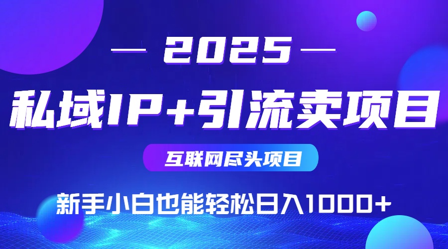 2025网创尽头项目，私域IP+引流，新手小白也能在家日入1000+ - 搞薯条网-搞薯条网