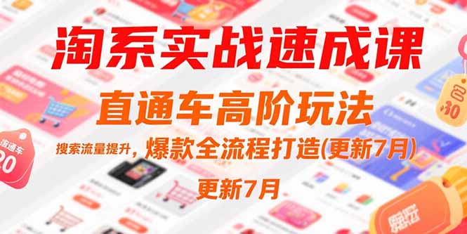 淘系实战速成课，直通车高阶玩法，搜索流量提升，爆款全流程打造(更新7月 - 搞薯条网-搞薯条网
