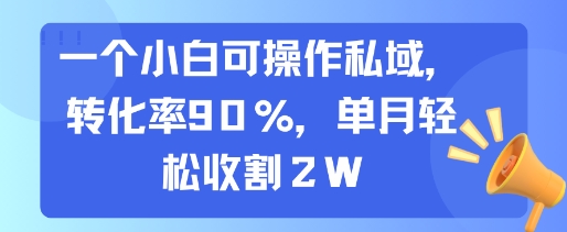 一个小白可操作私域，转化率90%，单月轻松收割2W - 搞薯条网-搞薯条网