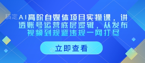 AI高阶自媒体项目实操课，讲透账号运营底层逻辑，从发布视频到规避违规一网打尽 - 搞薯条网-搞薯条网