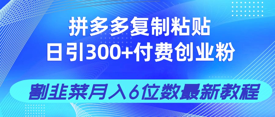 拼多多复制粘贴日引300+付费创业粉，割韭菜月入6位数最新教程！ - 搞薯条网-搞薯条网