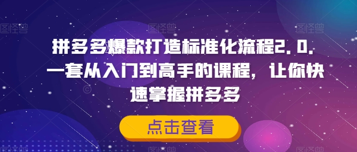 拼多多爆款打造标准化流程2.0，一套从入门到高手的课程，让你快速掌握拼多多 - 搞薯条网-搞薯条网