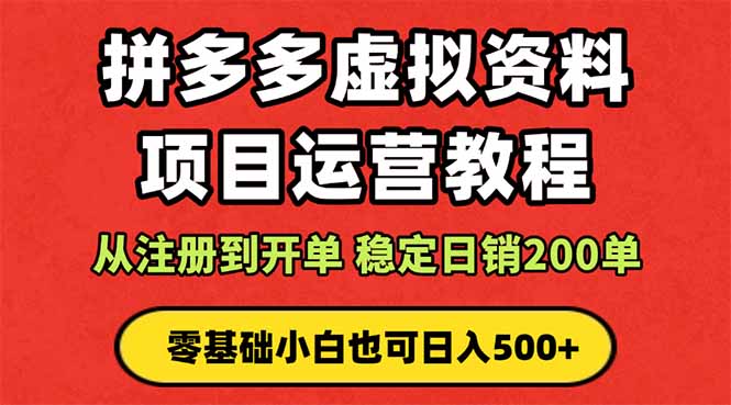 拼多多开店运营课程： 蓝海变现玩法，轻松实现睡后收入 零基础小白也可… - 搞薯条网-搞薯条网