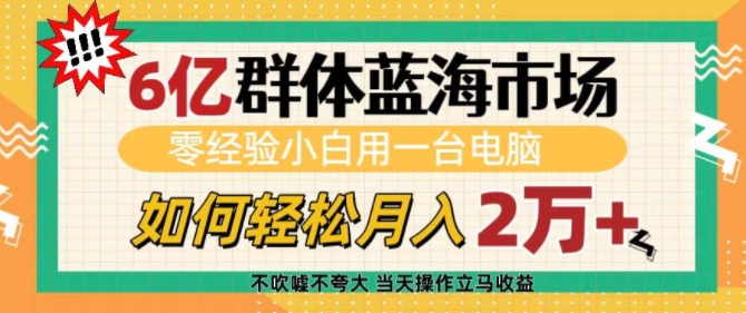 6亿群体蓝海市场，零经验小白用一台电脑，如何轻松月入过w【揭秘】 - 搞薯条网-搞薯条网