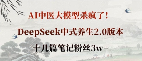 AI中医大模型杀疯了！DeepSeek中式养生2.0版本，十几篇笔记粉丝3w+ - 搞薯条网-搞薯条网