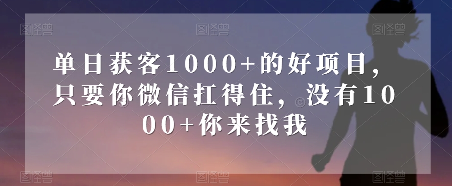 单日获客1000+的好项目，只要你微信扛得住，没有1000+你来找我【揭秘】-森森项目库