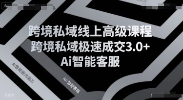跨境私域线上高级课程，跨境私域极速成交3.0+Ai智能客服 - 搞薯条网-搞薯条网