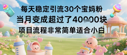 每天稳定引流30个宝妈粉当月变成超过了1W+项目流程非常简单适合小白 - 搞薯条网-搞薯条网