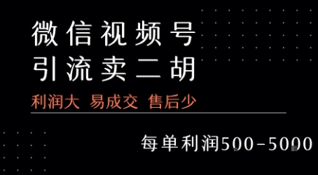 视频号卖二胡教程，利润大 易成交 售后少，一单利润5张+ - 搞薯条网-搞薯条网