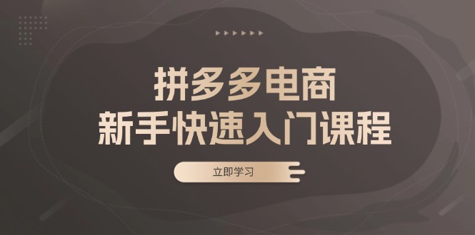 拼多多电商新手快速入门课程：涵盖基础、实战与选款，助力小白轻松上手 - 搞薯条网-搞薯条网