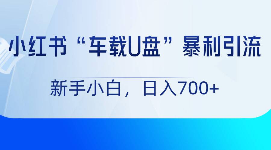 小红书“车载U盘”项目，暴利引流，新手小白轻松日入700+ - 搞薯条网-搞薯条网