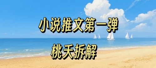小说推文项目操作全流程第一弹，0粉就能做，门槛低非常适合新手 - 搞薯条网-搞薯条网