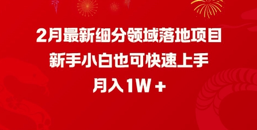 2月最新细分领域落地项目，新手小白也可快速上手，月入1W - 搞薯条网-搞薯条网