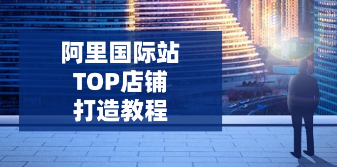 阿里国际站TOP店铺打造教程：涵盖平台到高阶，解决运营难题，提升询盘 - 搞薯条网-搞薯条网
