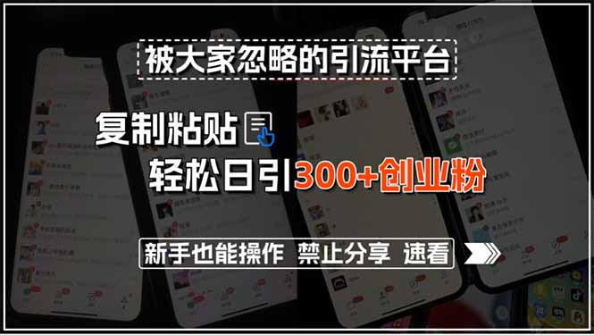 被大家忽略的引流平台，复制粘贴轻松日引300+创业粉，新手也能操作，禁… - 搞薯条网-搞薯条网