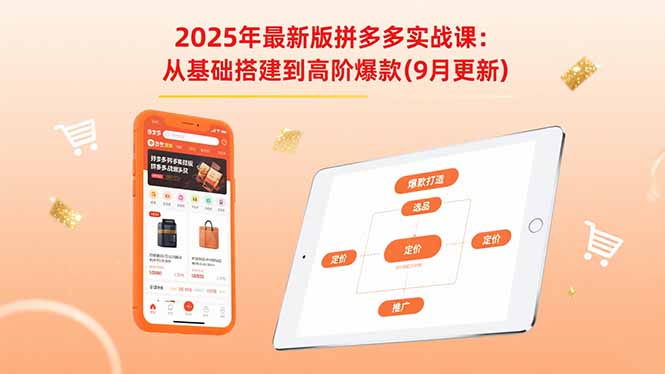 2025年最新版拼多多实战课：从基础搭建到高阶爆款(9月更新 - 搞薯条网-搞薯条网