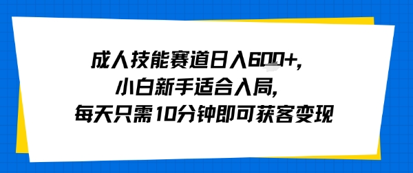 成人技能赛道日入多张，小白新手适合入局，每天只需10分钟即可获客变现 - 搞薯条网-搞薯条网