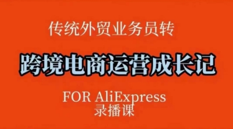 跨境电商速卖通运营课，​运营方法论+后台实操，逻辑清晰 - 搞薯条网-搞薯条网