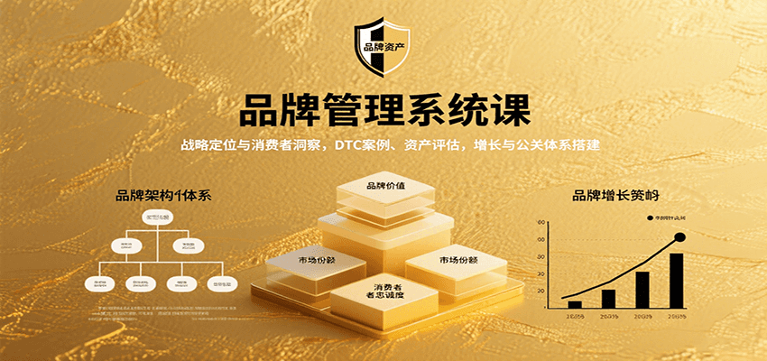 品牌管理系统课：战略定位与消费者洞察，DTC案例、资产评估，增长与公关体系搭建 - 搞薯条网-搞薯条网