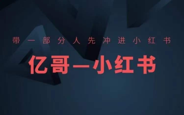 ​​带一部分人先冲进小红书，小红书开店、选品、爆款裂变 - 搞薯条网-搞薯条网