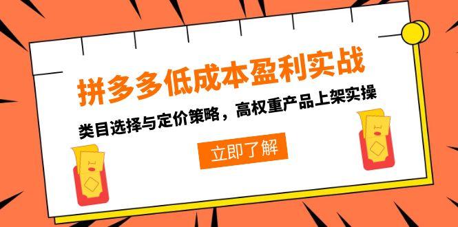 拼多多低成本盈利实战，类目选择与定价策略，高权重产品上架实操 - 搞薯条网-搞薯条网