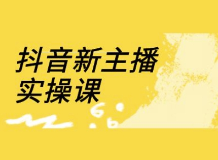 抖音新主播实操课，直播间流量运营线上实操课(18节) - 搞薯条网-搞薯条网
