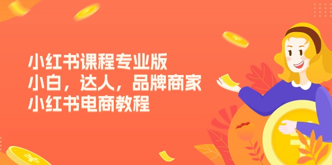 小红书课程专业版，小白，达人，品牌商家，小红书电商教程(15节 - 搞薯条网-搞薯条网