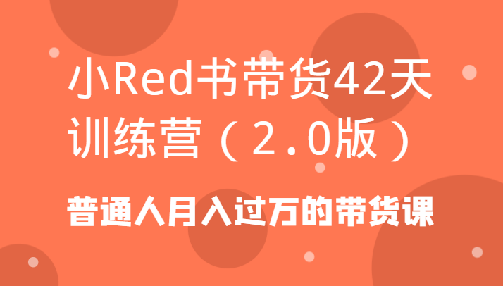 小Red书带货42天训练营(2.0版)普通人月入过万的带货课-森森项目库